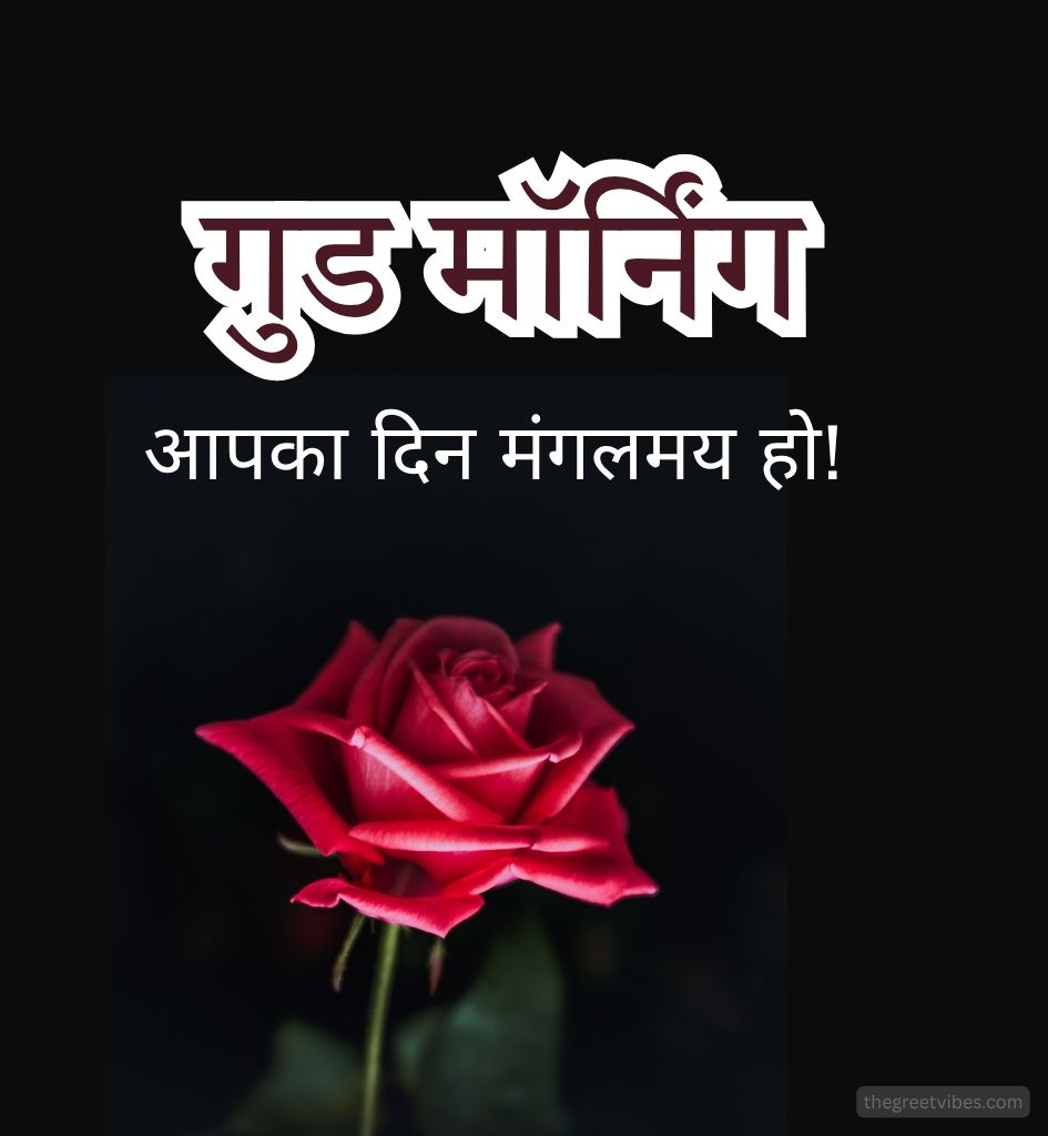 Good morning with Red Gulab Images
