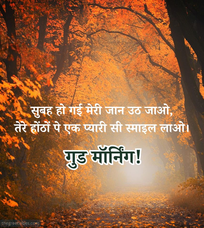 2 lines Good Morning Shayari for Status