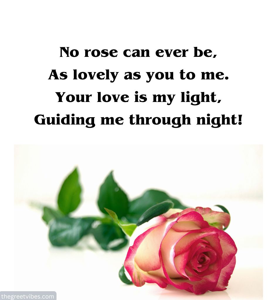 English Romantic Shayari Images with Rose