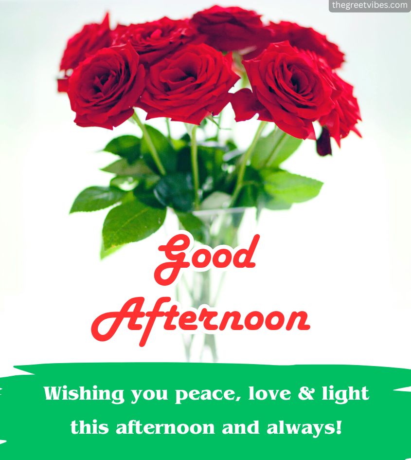 Good Afternoon Pics with Beautiful Rose Flower