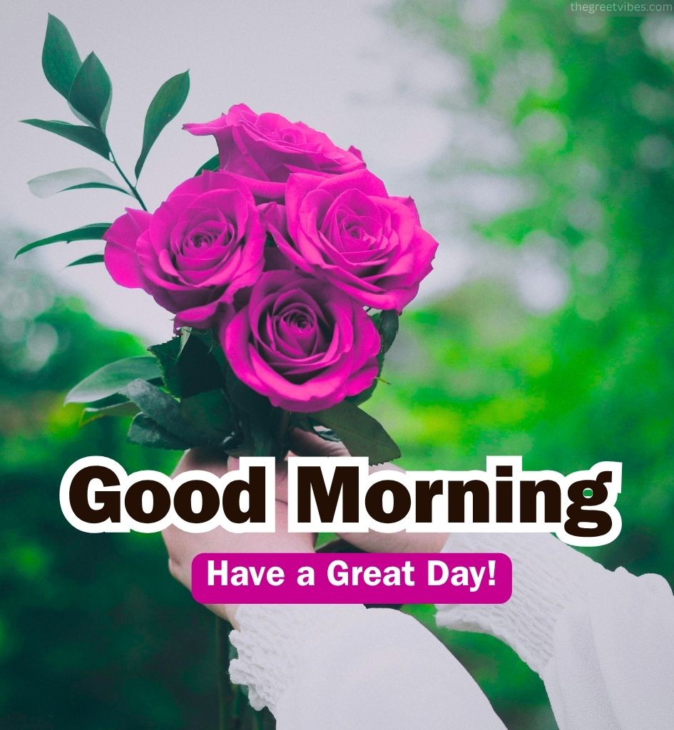 Gulab phool With Good morning wishes in hindi