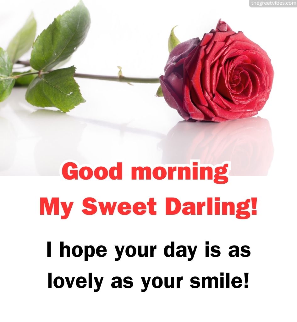 Good Morning Romantic Greeting for Wife with Rose Flower