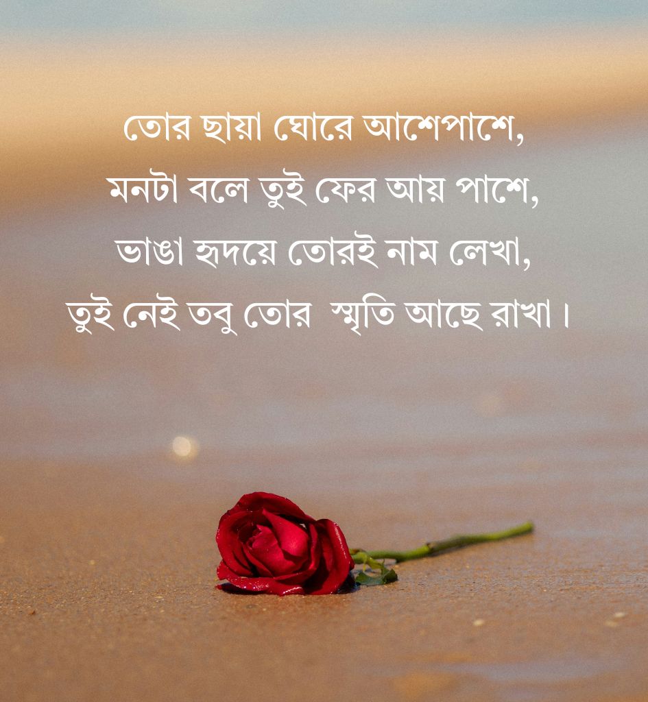 Breakup Shayari Bengali Images