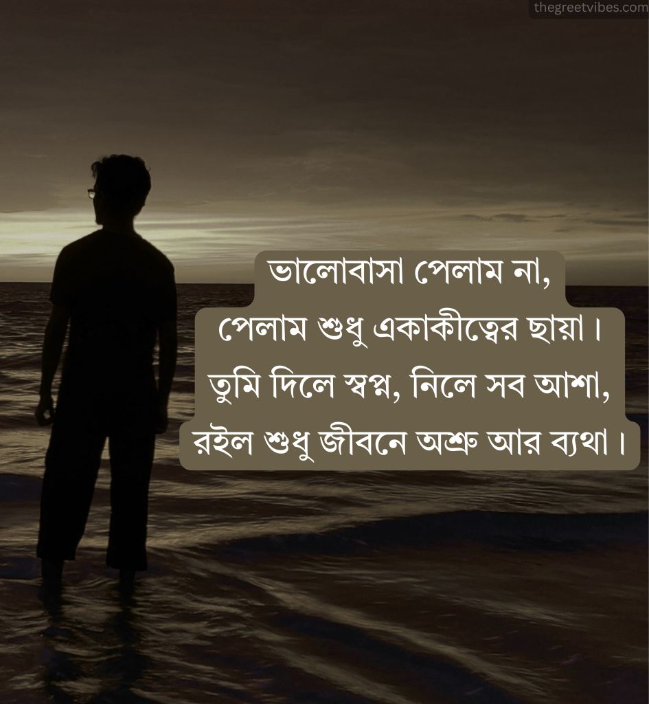 Touching Breakup Shayari in Bangla for Him