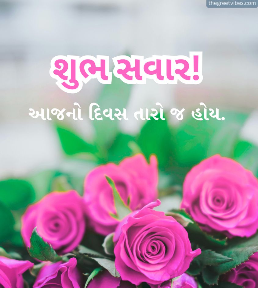 Good Morning Wishes in Gujarati with Roses