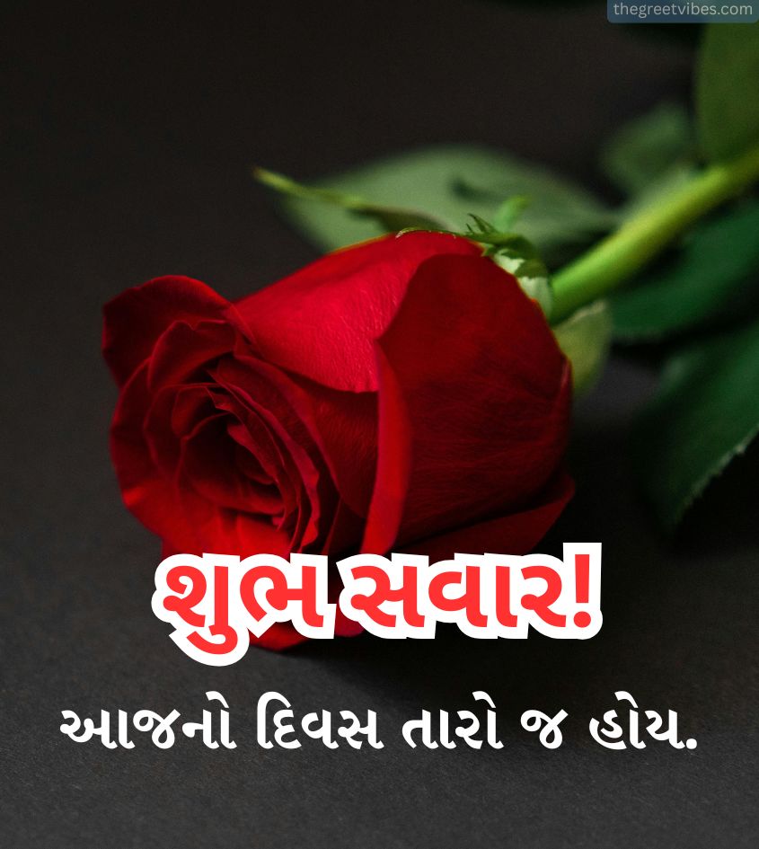 Good Morning Gujarati Pics for Lover