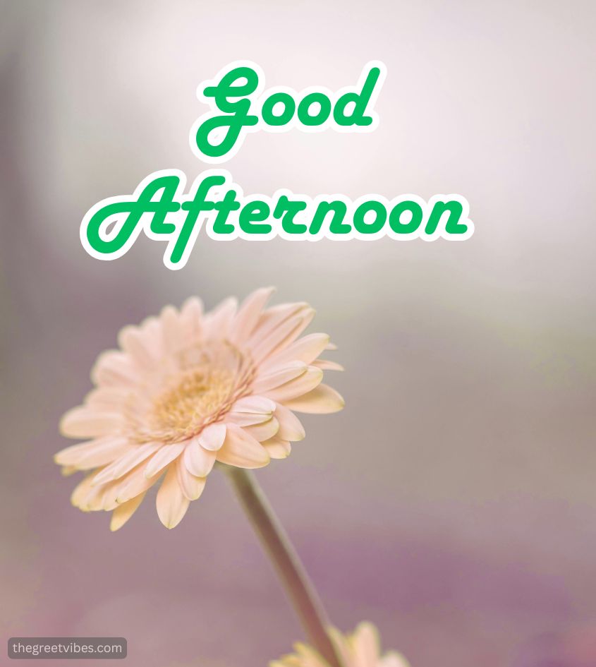 Good Afternoon Images with flower