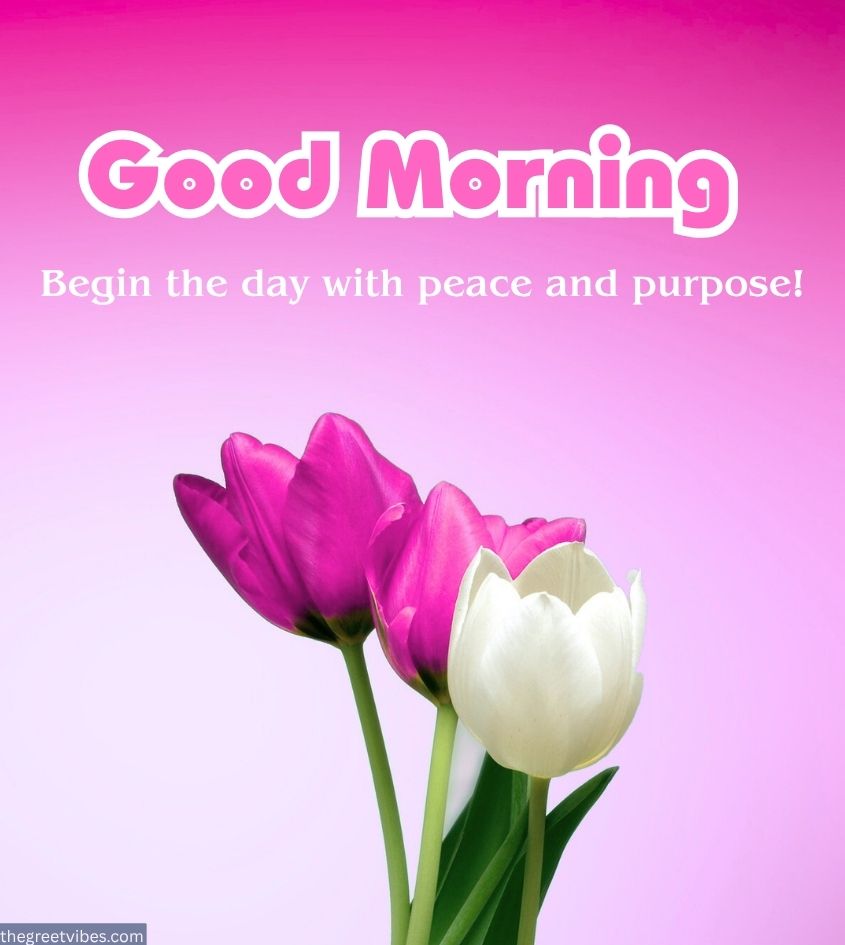 Beautiful Flowers with Good Morning Spiritual Wishes