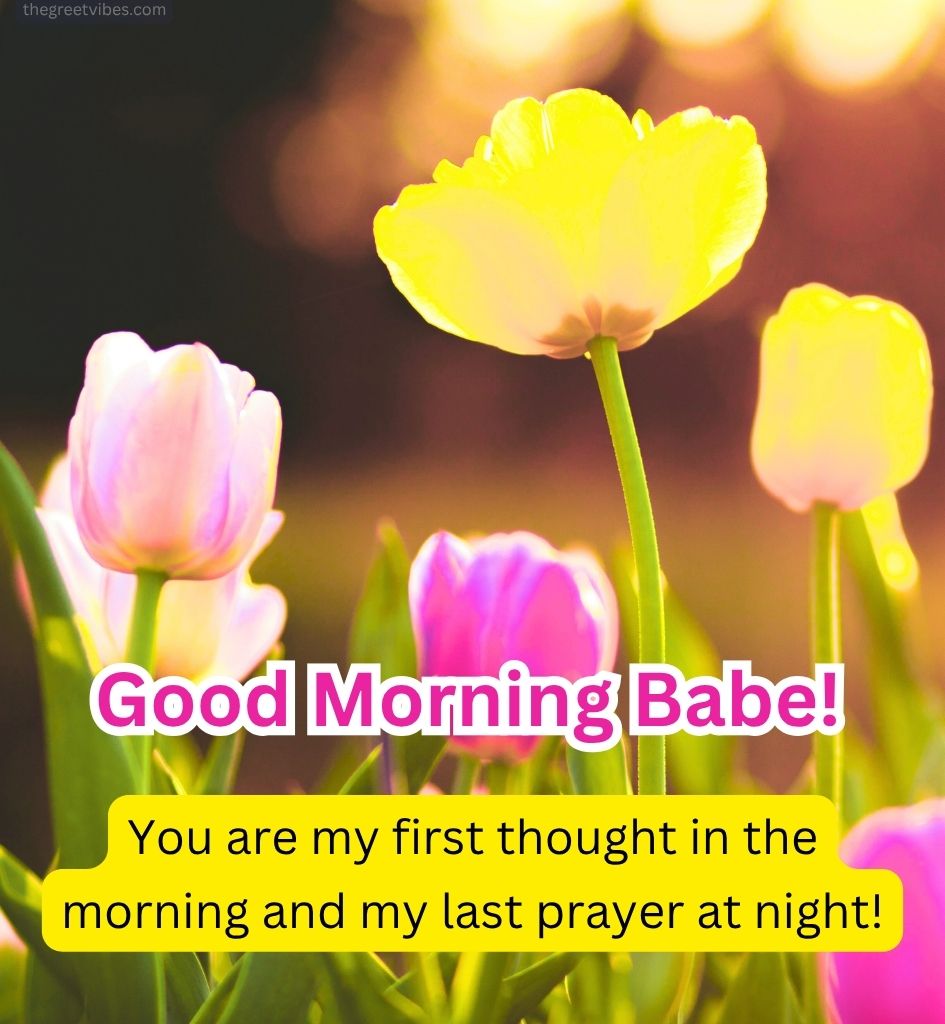 Good Morning flower Images for Spouse