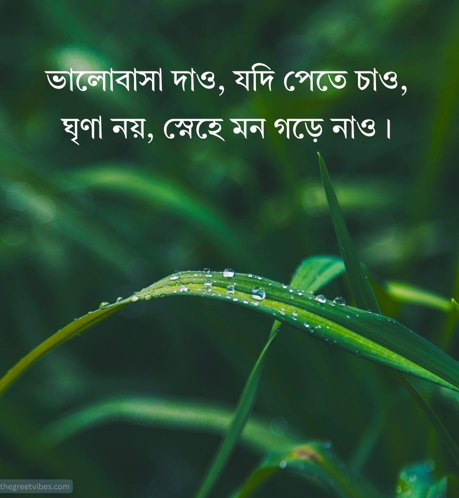 2 Line Life Shayari in Bengali for Status