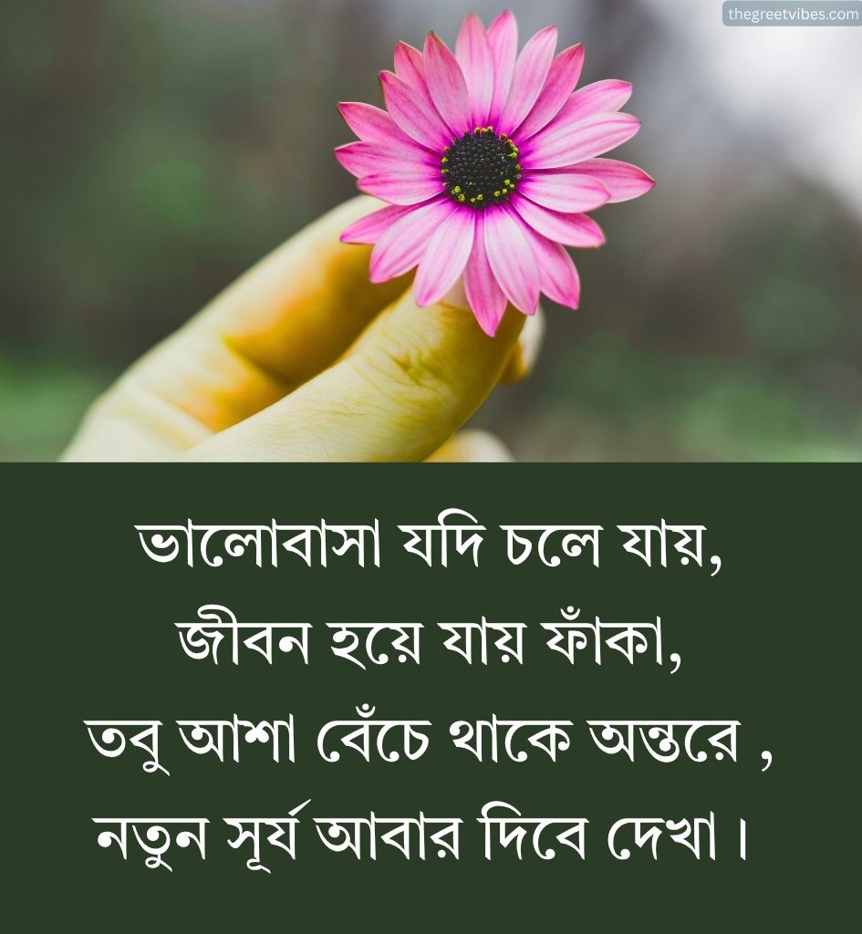 Best Life Shayari Bangla