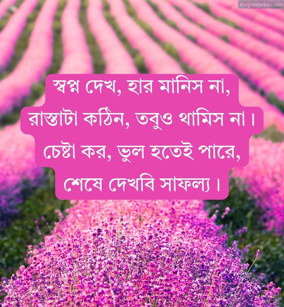 Success Life Shayari Bangla