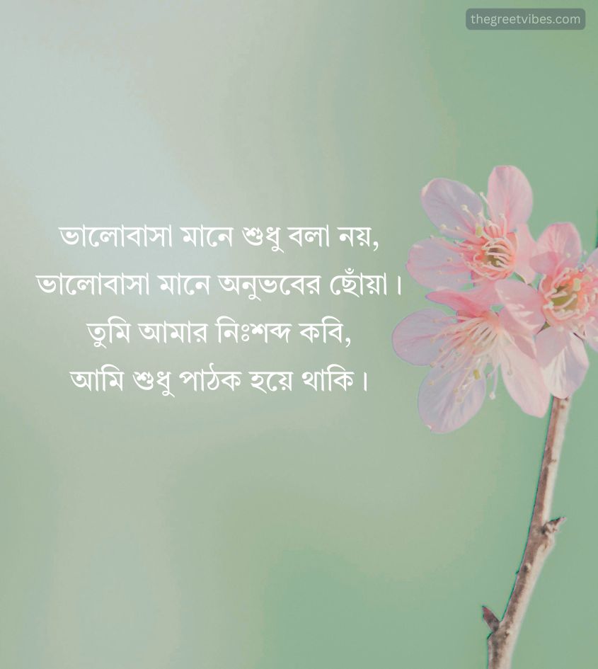 Bengali Sad Love Quotes for Whatsapp Status