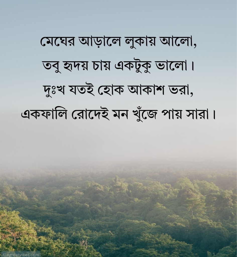 Bengali Life Shayari Images