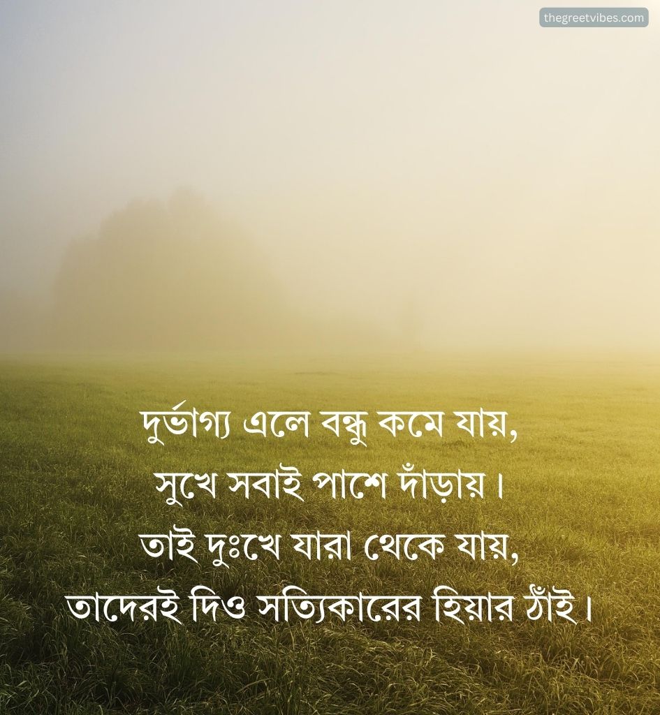 Bengali Life Shayari for Status