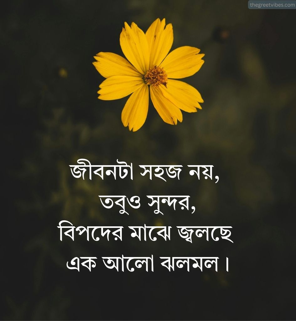 Inspirational Life Shayari in Bengali for Status