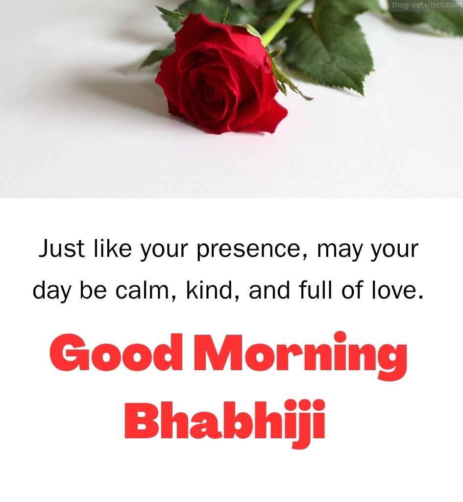 Rose with Good Morning Greetings for Bhabhi Ji