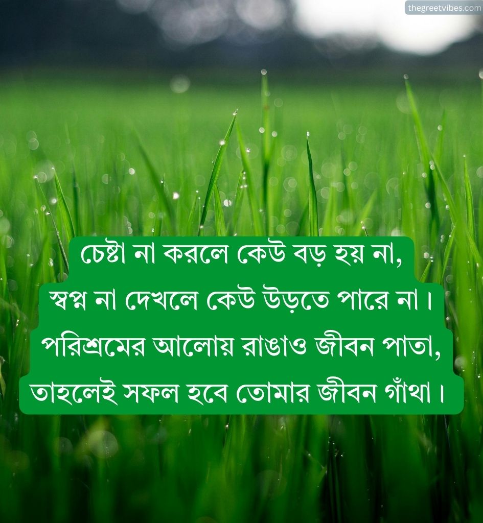 Life Lesson Shayari in Bengali