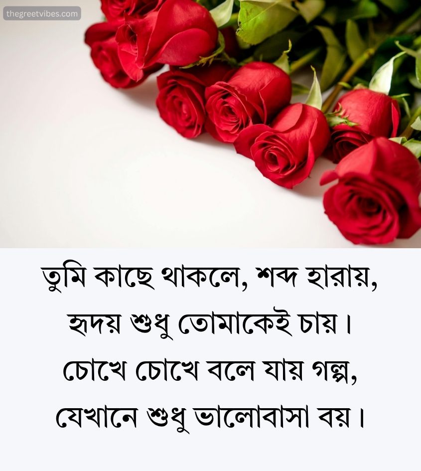 Love Quotes in Bengali Language for girlfriend