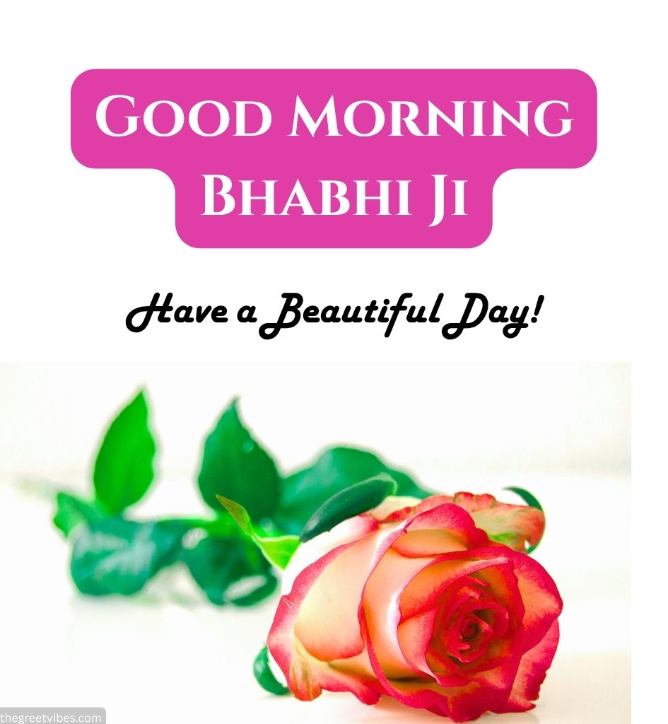 Bhabhi ji Good Morning Images with Rose